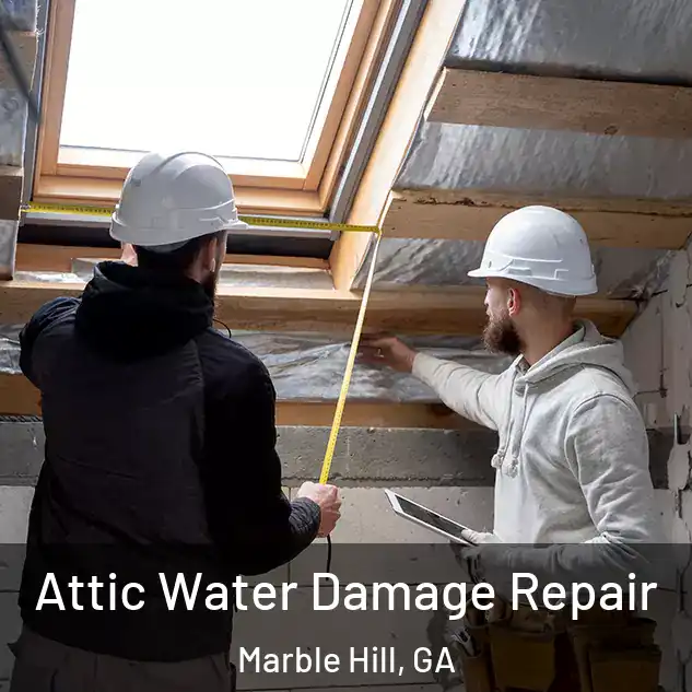  Attic Water Damage Repair Marble Hill, GA