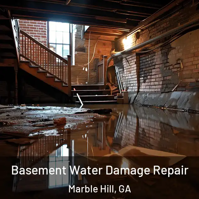  Basement Water Damage Repair Marble Hill, GA