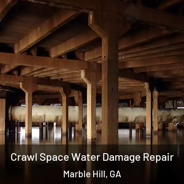  Crawl Space Water Damage Repair Marble Hill, GA