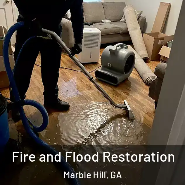  Fire and Flood Restoration Marble Hill, GA