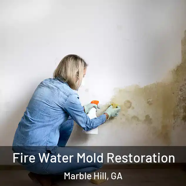  Fire Water Mold Restoration Marble Hill, GA