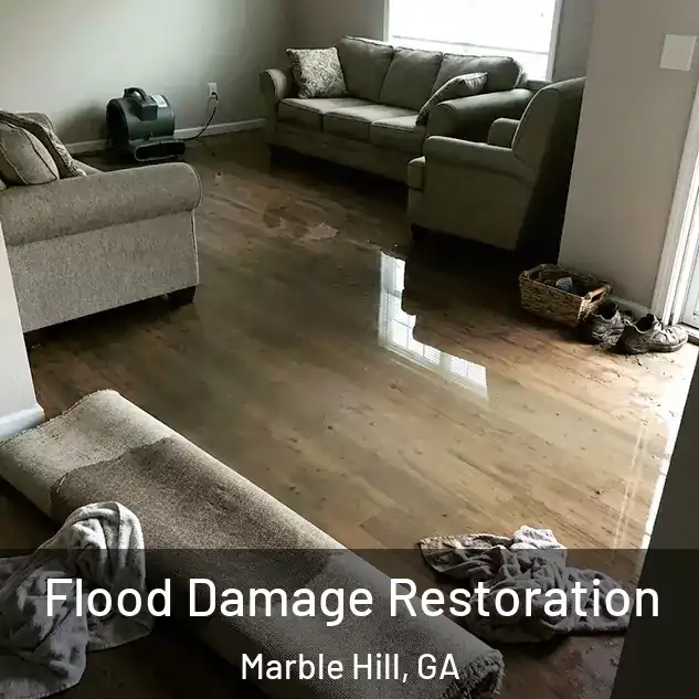  Flood Damage Restoration Marble Hill, GA