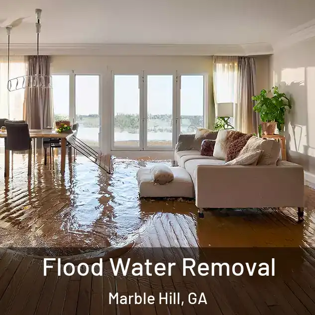  Flood Water Removal Marble Hill, GA