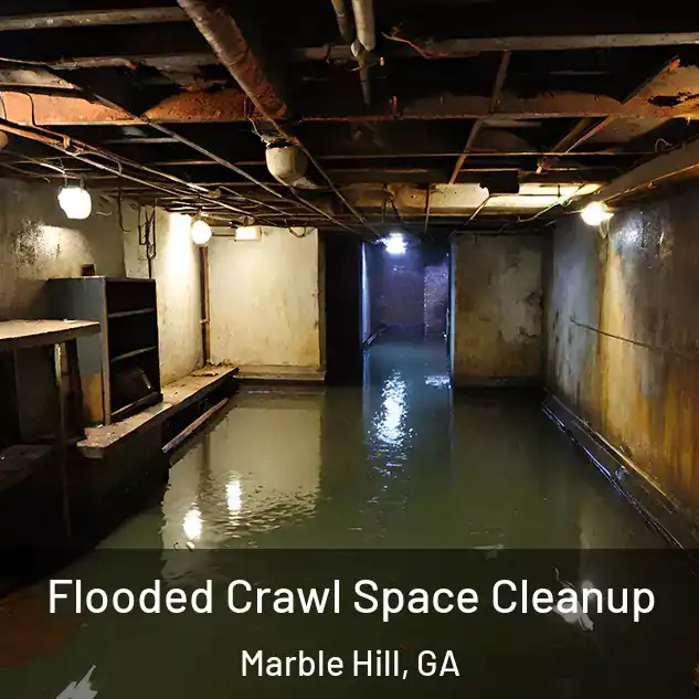  Flooded Crawl Space Cleanup Marble Hill, GA