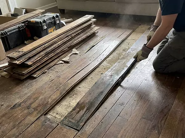 Water Damage Drying in Marble Hill