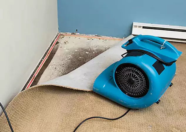 Your Water Damage Experts in Marble Hill, GA