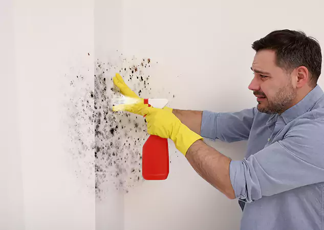 Your Water Mold Fire Restoration Partner in Marble Hill, GA
