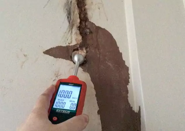 Your Water Damage Assessment Partner in Marble Hill, GA