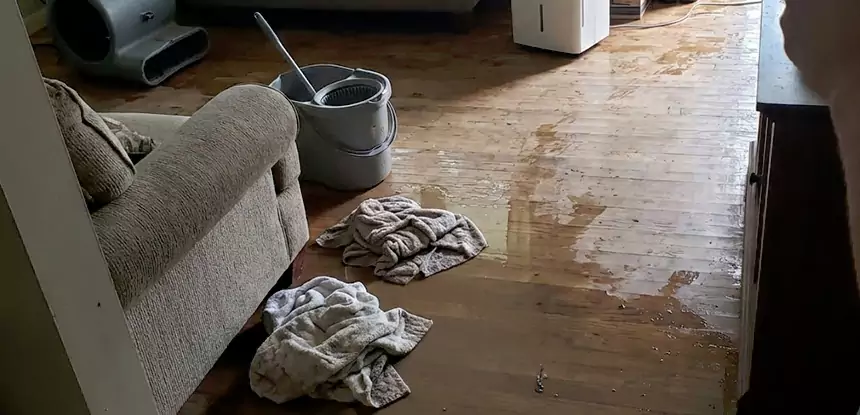 Professional Basement Water Remediation Services in Marble Hill, GA