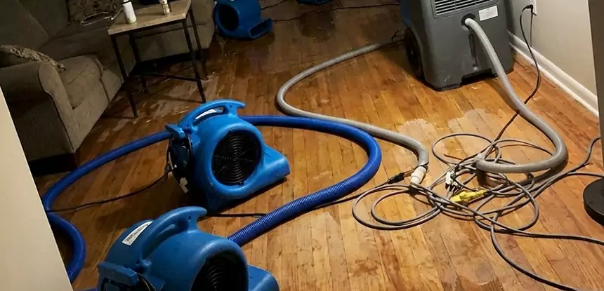 Basement Flood Restoration Services in Marble Hill