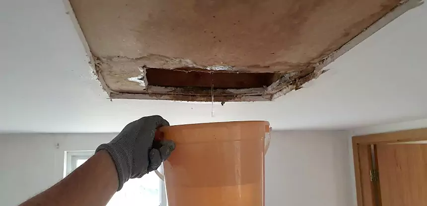 Ceiling Mold Repair Marble Hill 