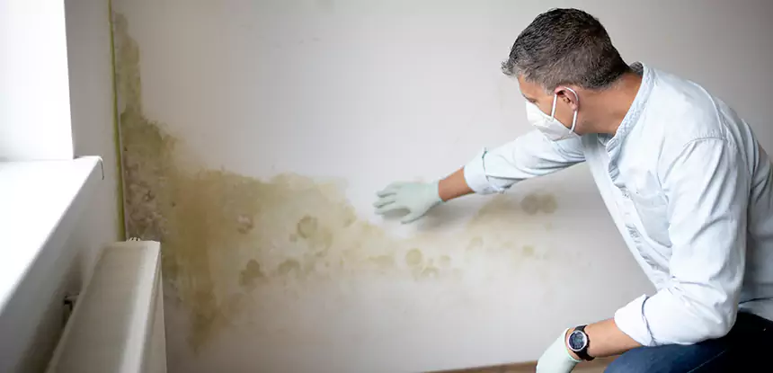 Mold and Water Damage Repair in Marble Hill