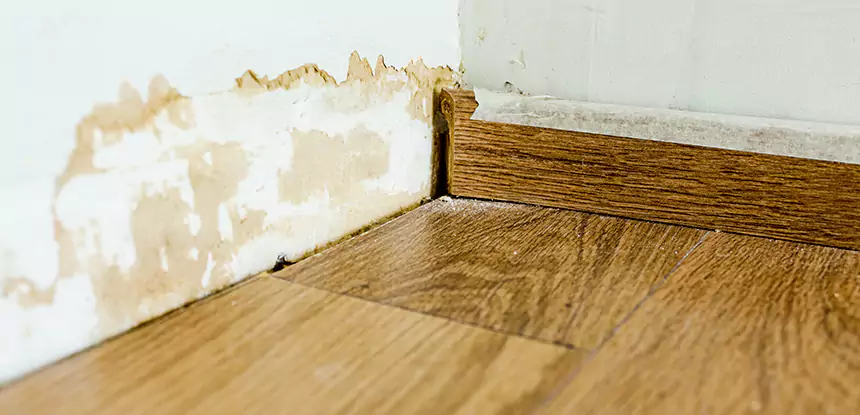 Professional Fix Water Damaged Wood Services in Marble Hill, GA