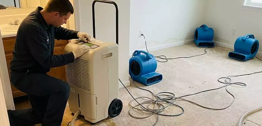 Professional Wet Carpet Removal Services in Marble Hill, GA