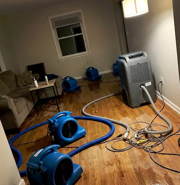 Why Marble Hill Property Owners Rely on Marble Hill Restoration Pro for Remediation?