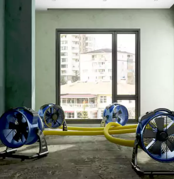 Why Marble Hill Property Owners Trust Marble Hill Restoration Pro for Water Damage Drying?