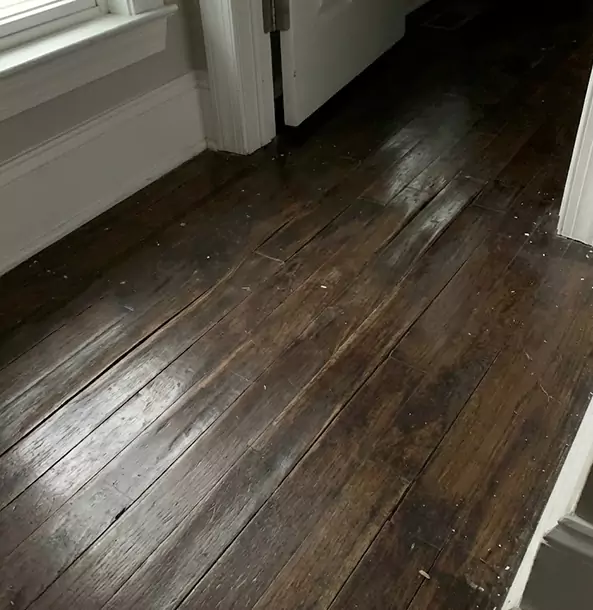 Why Marble Hill Homeowners Trust Marble Hill Restoration Pro to Fix Water Damaged Wood?