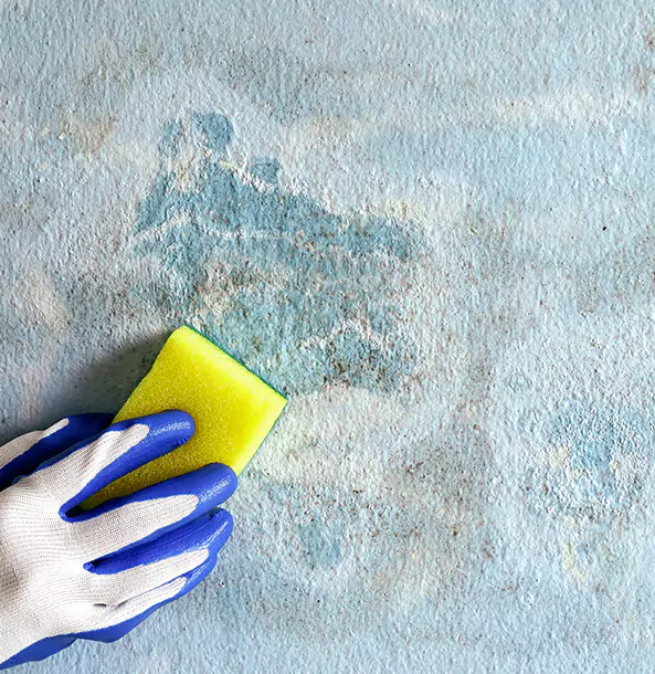 Why Marble Hill Restoration Pro Is the Right Choice in Marble Hill, GA?