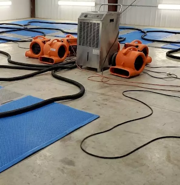 Why Marble Hill Homeowners and Businesses Choose Marble Hill Restoration Pro for Wet Carpet Removal?