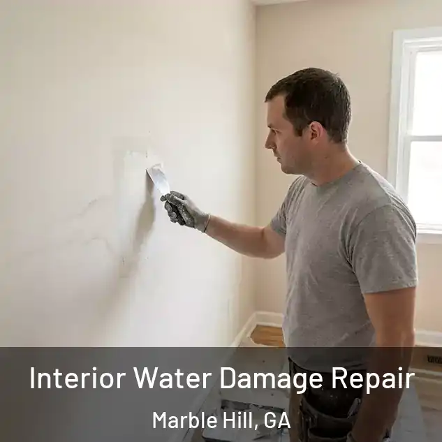  Interior Water Damage Repair Marble Hill, GA