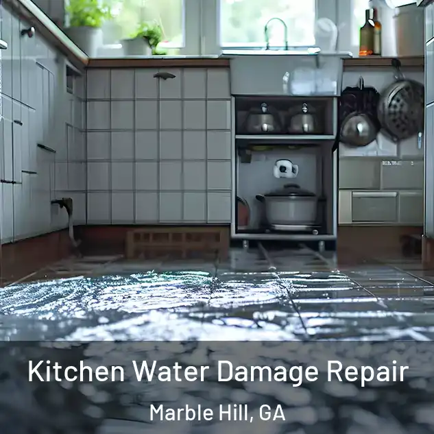  Kitchen Water Damage Repair Marble Hill, GA