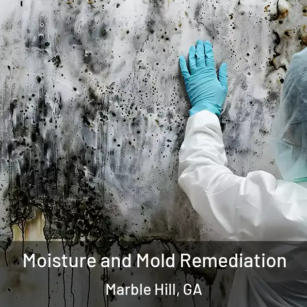  Moisture and Mold Remediation Marble Hill, GA