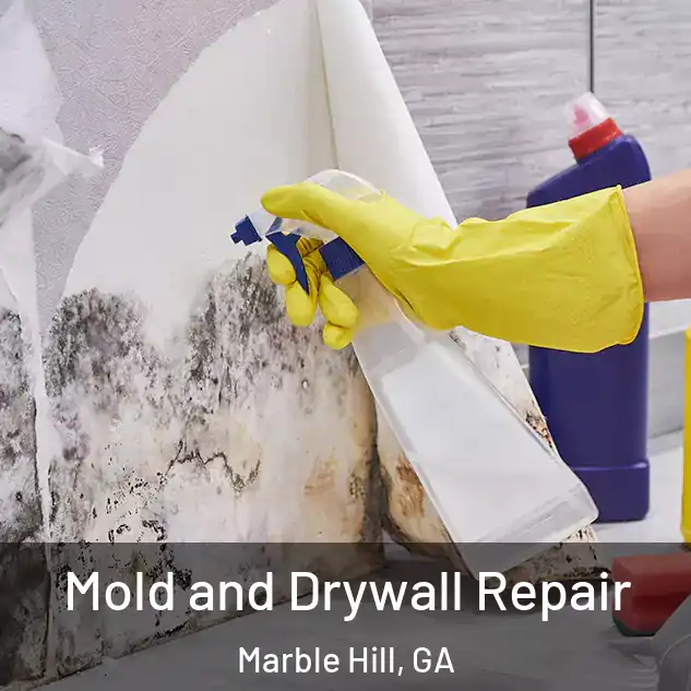  Mold and Drywall Repair Marble Hill, GA