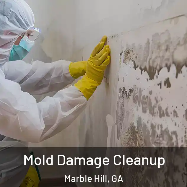  Mold Damage Cleanup Marble Hill, GA