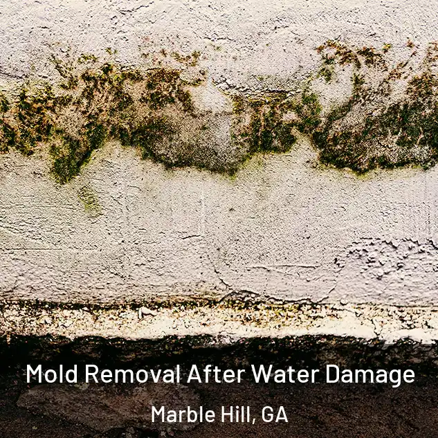  Mold Removal After Water Damage Marble Hill, GA