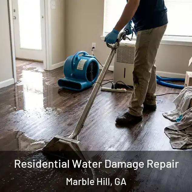  Residential Water Damage Repair Marble Hill, GA