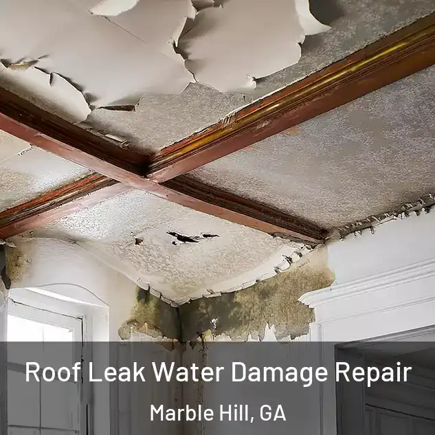  Roof Leak Water Damage Repair Marble Hill, GA
