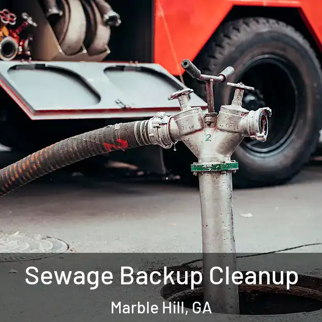  Sewage Backup Cleanup Marble Hill, GA