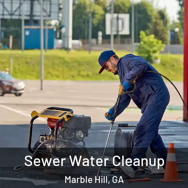 Sewer Water Cleanup Marble Hill, GA