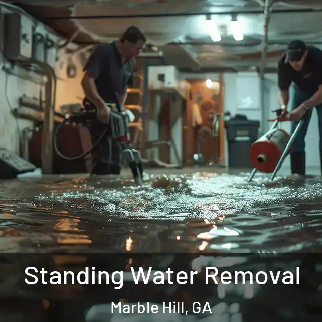  Standing Water Removal Marble Hill, GA