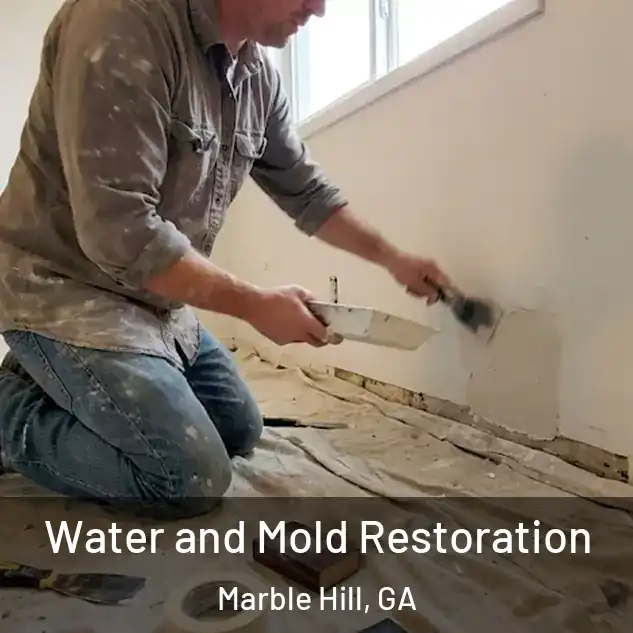  Water and Mold Restoration Marble Hill, GA