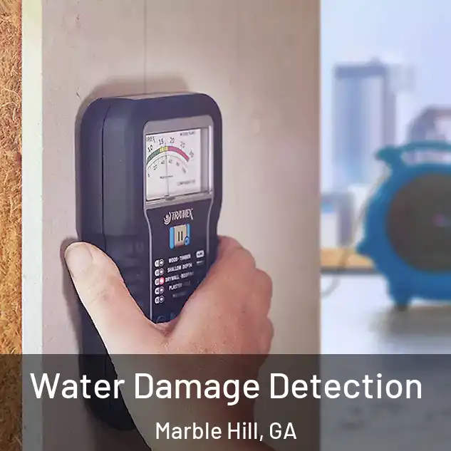  Water Damage Detection Marble Hill, GA