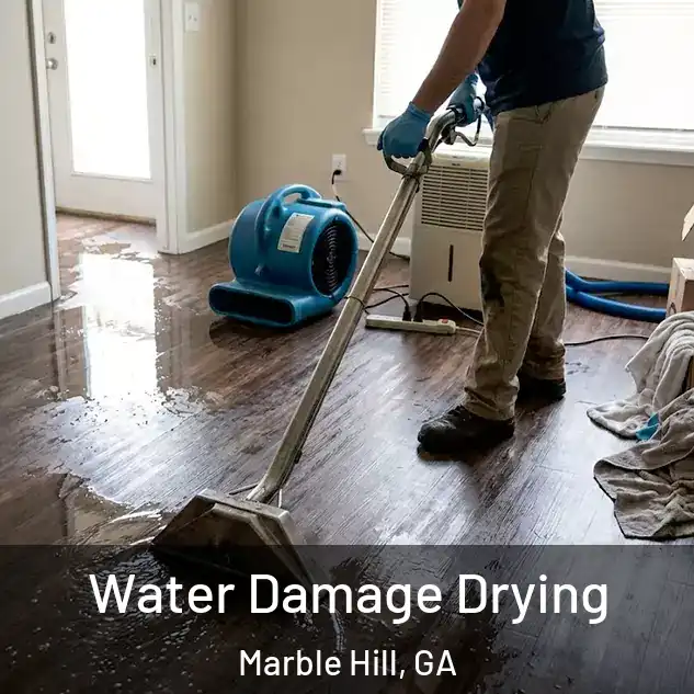  Water Damage Drying Marble Hill, GA
