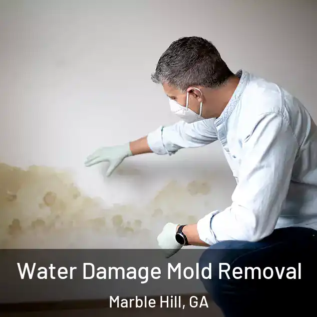  Water Damage Mold Removal Marble Hill, GA