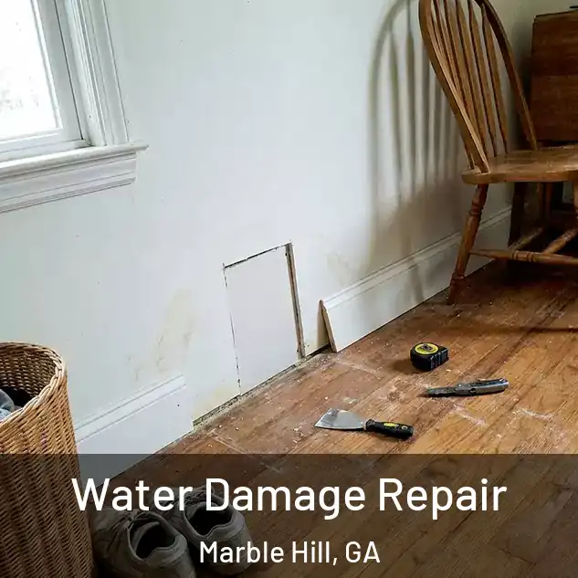  Water Damage Repair Marble Hill, GA
