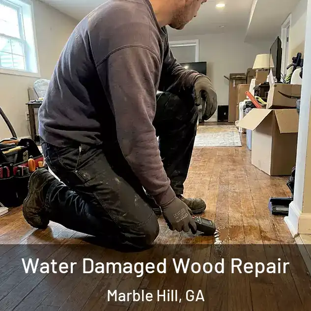  Water Damaged Wood Repair Marble Hill, GA