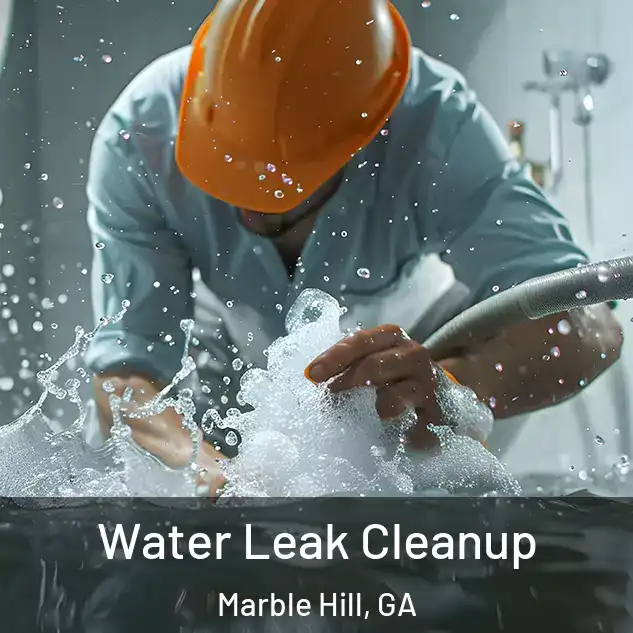  Water Leak Cleanup Marble Hill, GA