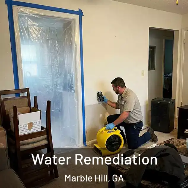 Water Remediation Marble Hill, GA