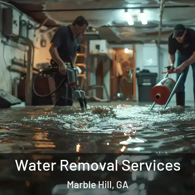  Water Removal Services Marble Hill, GA