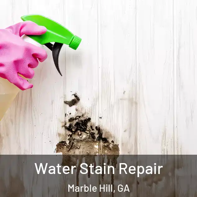  Water Stain Repair Marble Hill, GA
