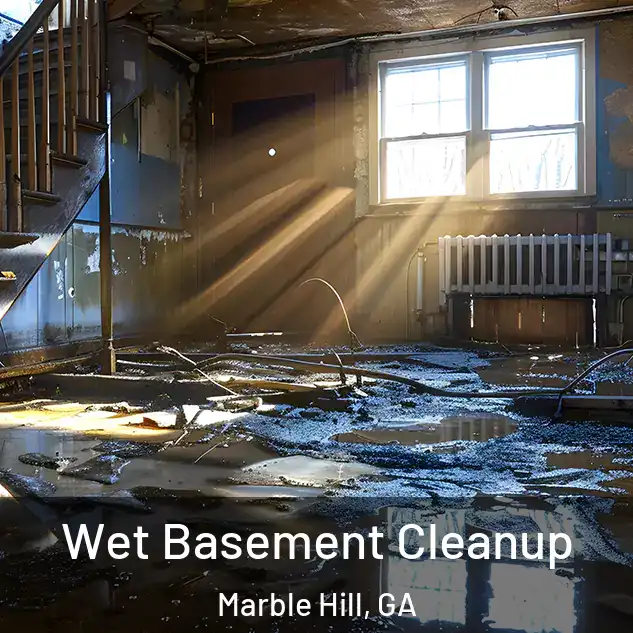  Wet Basement Cleanup Marble Hill, GA