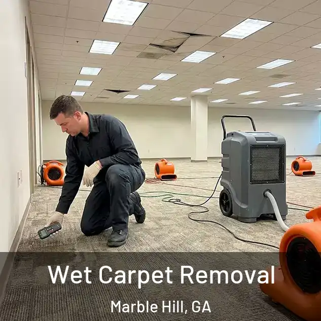  Wet Carpet Removal Marble Hill, GA